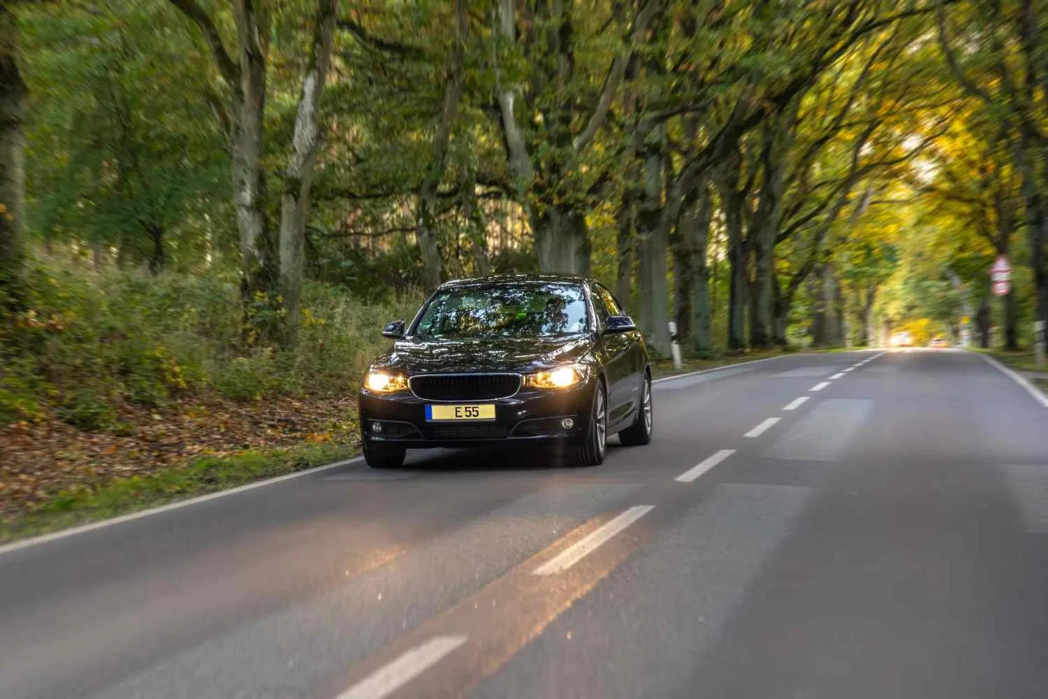 Dark sedan with headlights on driving down a tree-lined road
